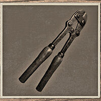 Трофей {trophy} в игре Amnesia: The Bunker для PS4