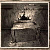 Трофей {trophy} в игре Amnesia: The Bunker для PS4