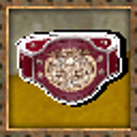 Достижение High Score - Boxing Belt в игре Samurai Western для PS2