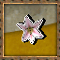 Достижение Accessory - Flower в игре Samurai Western для PS2