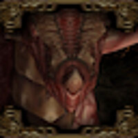 Достижение Through the Fire and the Flames в игре Baldur's Gate: Dark Alliance 2 для PS2