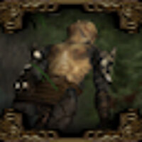 Достижение Burn the Camps в игре Baldur's Gate: Dark Alliance 2 для PS2