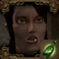 Достижение Assassin in the City в игре Baldur's Gate: Dark Alliance 2 для PS2