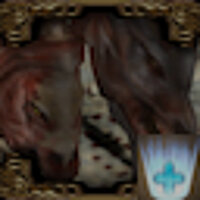 Достижение Veterinarian Cleric в игре Baldur's Gate: Dark Alliance 2 для PS2