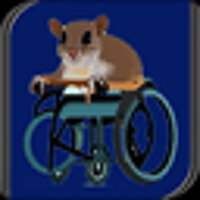 Достижение Double Cripple Airborne Squirrel в игре SSX (2000) для PS2