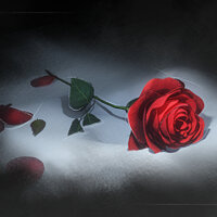 Достижение The Rose's Memory в игре Lies of P для Xbox One, Xbox Series