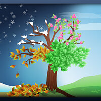 Достижение Four Seasons в игре Cities: Skylines 2 для Windows 10