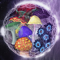 Достижение Top Shelf в игре Salt and Sacrifice для Steam