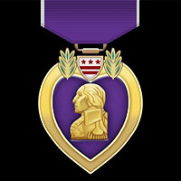 Достижение Purple Heart в игре Aircraft Carrier Survival для Xbox One