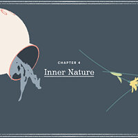 Достижение Inner Nature в игре A Little to the Left для Xbox One, Xbox Series