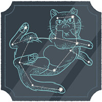 Трофей {trophy} в игре A Little to the Left для PS5