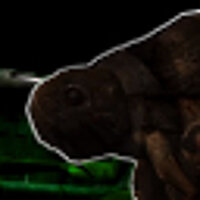 Достижение Underbelly в игре Resident Evil: Outbreak: File #2 для PS2
