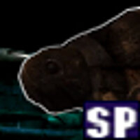 Достижение Underbelly - SP Items в игре Resident Evil: Outbreak: File #2 для PS2