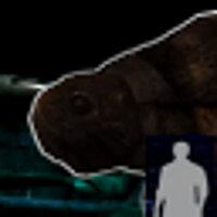 Достижение Underbelly - Lone Wolf в игре Resident Evil: Outbreak: File #2 для PS2