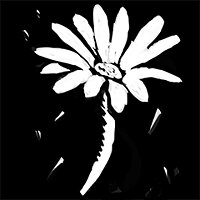 Трофей {trophy} в игре Risen 3: Titan Lords - Enhanced Edition для PS4