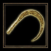 Трофей {trophy} в игре Skelethrone: The Chronicles of Ericona для PS4