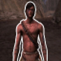 Достижение Attack the Fort (Insane) в игре Gun для PS2