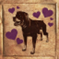 Достижение TR6 | Good Boys в игре Tomb Raider 4-6 Remastered для GOG