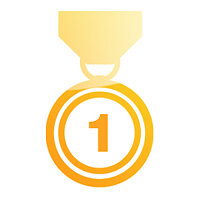 Трофей {trophy} в игре Need for Speed: Undercover для PS3