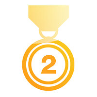 Трофей {trophy} в игре Need for Speed: Undercover для PS3