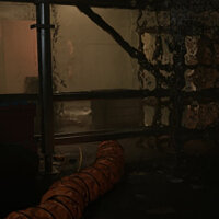 Трофей {trophy} в игре Outbreak: Shades of Horror Chromatic Split для PS5