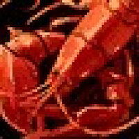 Достижение Chef de Cuisine в игре World of Warcraft: Cataclysm Classic для Blizzard