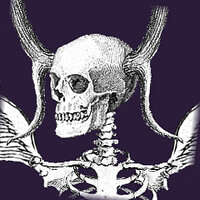 Достижение Angel of Death в игре Cassette Beasts для iOS