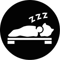 Достижение Sleepyhead в игре Skyhill для iOS