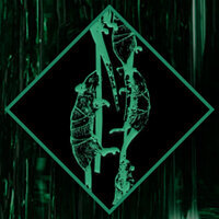 Трофей {trophy} в игре Chernobylite для PS5