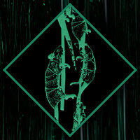 Достижение The Ratcatcher в игре Chernobylite для Xbox One