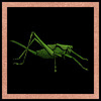Достижение Newbie Is That A Bug в игре Farmer Against Potatoes Idle для Steam