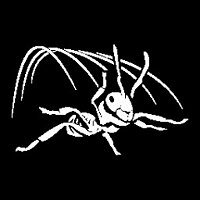Достижение Terminal Velocity в игре Empire of the Ants для Steam