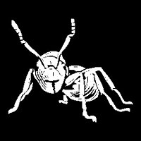 Достижение This is just rude в игре Empire of the Ants для Steam