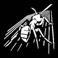 Достижение This is a mar-Ant-hon в игре Empire of the Ants для Steam