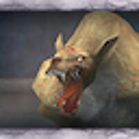 Достижение Bestiary Historian II в игре Final Fantasy X-2 для PS2