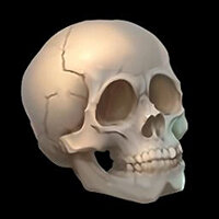 Достижение Skull and Bones в игре Luma Island для Steam