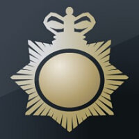 Достижение You Wouldn't Steal a Policeman's Helmet в игре Assassin's Creed: Syndicate для Steam