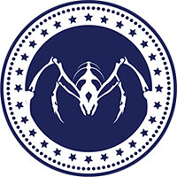 Трофей {trophy} в игре Tandem: A Tale of Shadows для PS4
