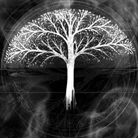 Трофей {trophy} в игре Salt and Sanctuary для PS Vita