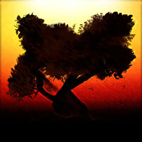 Трофей {trophy} в игре The First Tree для PS4