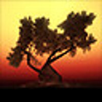Достижение Hummed of Mystery в игре The First Tree для Steam