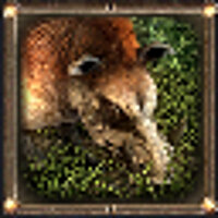 Достижение Ferocious wild boars в игре Risen для Xbox 360