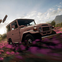 Достижение «Cactus Makes Perfect» в игре Forza Horizon 5 для Windows 10, Xbox One, Xbox Series