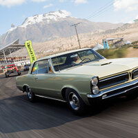 Достижение «Seasoned Veteran» в игре Forza Horizon 5 для Windows 10, Xbox One, Xbox Series