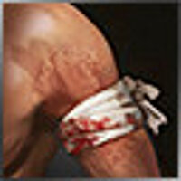 Достижение First Aid в игре Battle Brothers для Steam