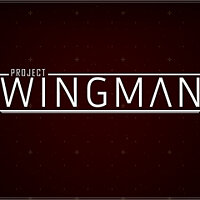 Достижение He said it! в игре Project Wingman для Windows 10, Xbox One