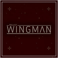 Достижение He said it! в игре Project Wingman для Steam