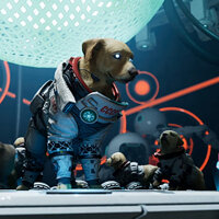 Достижение Canine Confusion в игре Marvel's Guardians of the Galaxy для Windows 10, Xbox One, Xbox Series