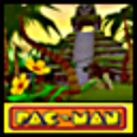 Достижение Letter Hunt - Jungle Safari в игре Pac-Man World Rally для PSP