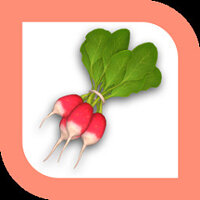 Достижение The More the Merrier в игре Chef Life: A Restaurant Simulator для Steam